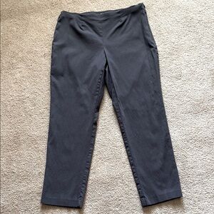 🍄 Style & Co. Charcoal Stretch Pants